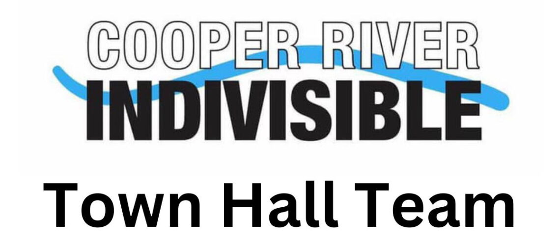 Our Banner for Copper River Indivisible